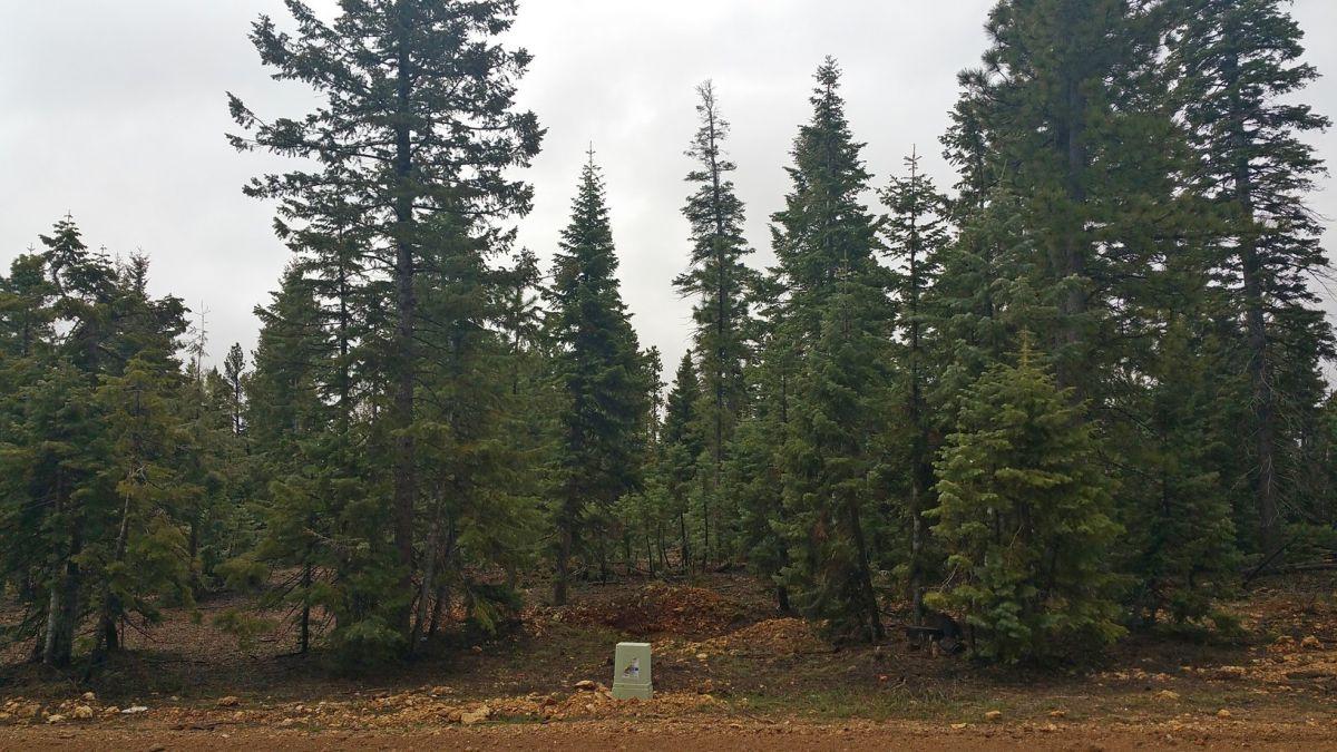 1320 E Duck Creek Ridge RD, Duck Creek, UT 84762