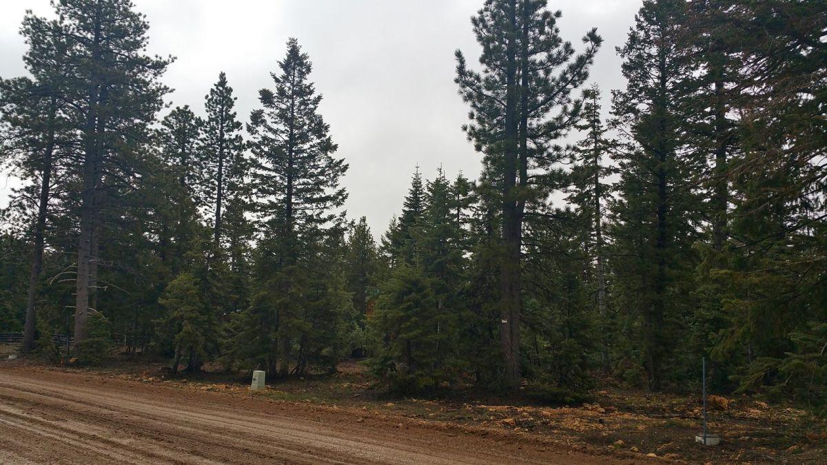 1320 E Duck Creek Ridge RD, Duck Creek, UT 84762