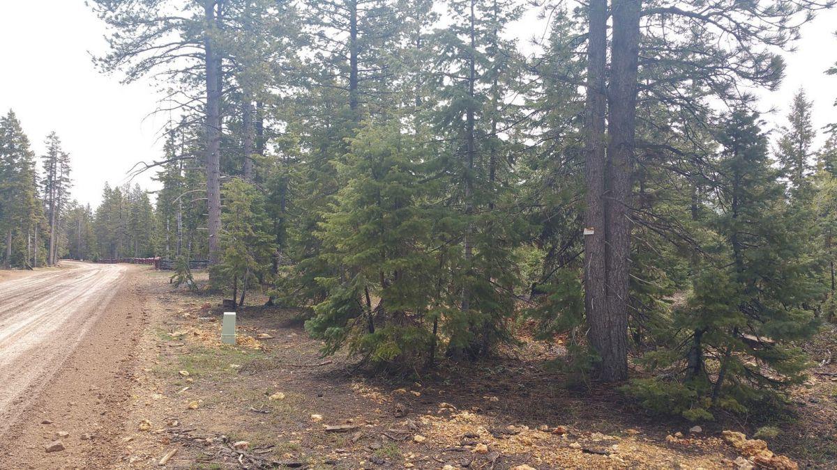 1320 E Duck Creek Ridge RD, Duck Creek, UT 84762