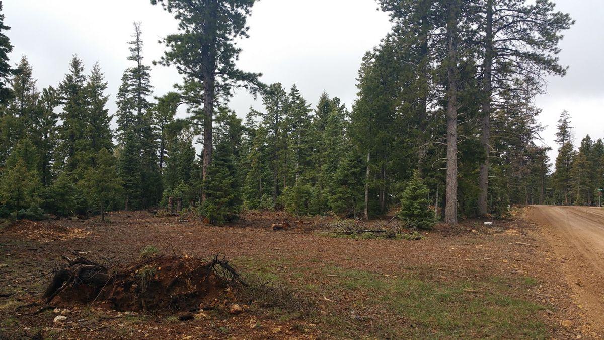 1320 E Duck Creek Ridge RD, Duck Creek, UT 84762