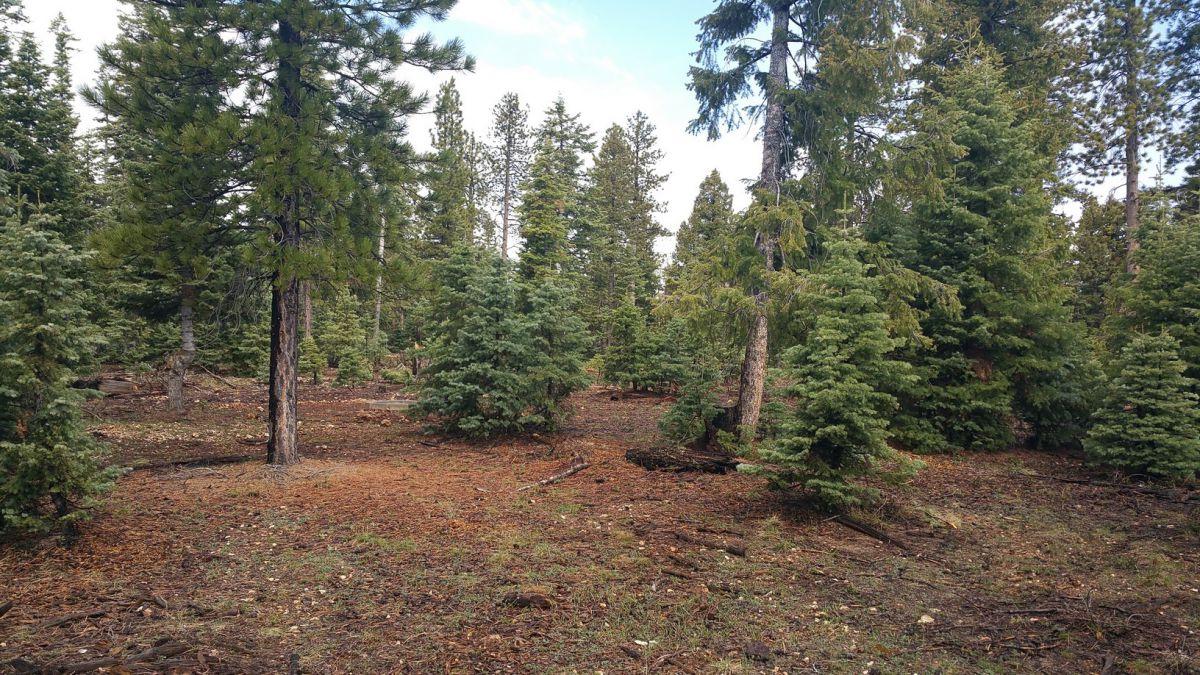 1320 E Duck Creek Ridge RD, Duck Creek, UT 84762