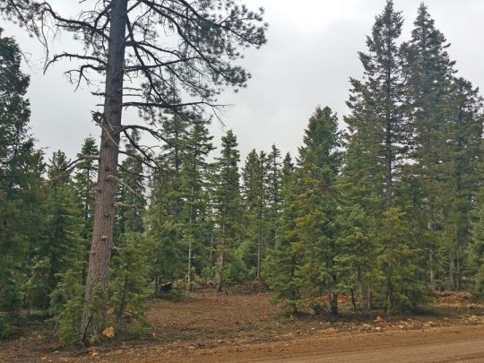 1320 E Duck Creek Ridge Rd- CC D-111, Duck Creek Village, UT 84762