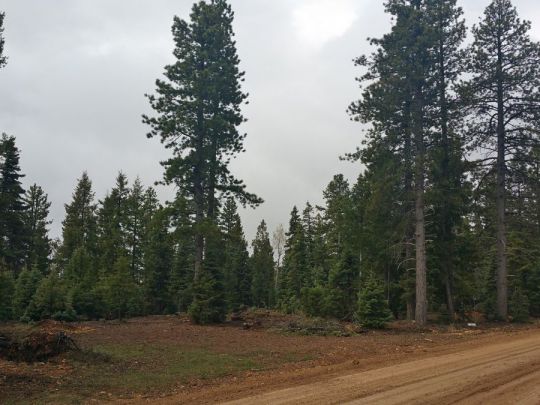 1320 E Duck Creek Ridge Rd- CC D-111, Duck Creek Village, UT 84762