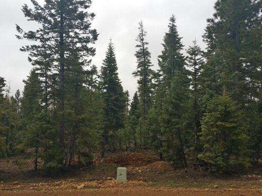 1320 E Duck Creek Ridge Rd- CC D-111, Duck Creek Village, UT 84762