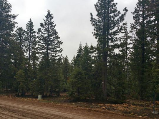 1320 E Duck Creek Ridge Rd- CC D-111, Duck Creek Village, UT 84762