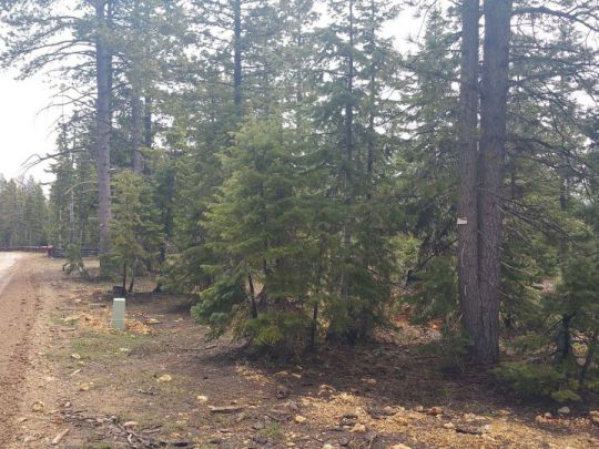 1320 E Duck Creek Ridge Rd- CC D-111, Duck Creek Village, UT 84762