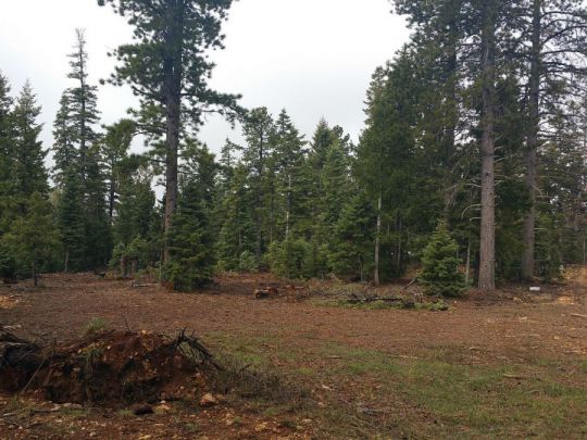 1320 E Duck Creek Ridge Rd- CC D-111, Duck Creek Village, UT 84762