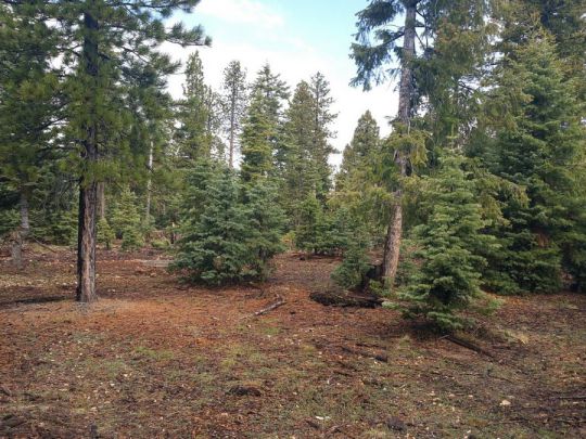 1320 E Duck Creek Ridge Rd- CC D-111, Duck Creek Village, UT 84762