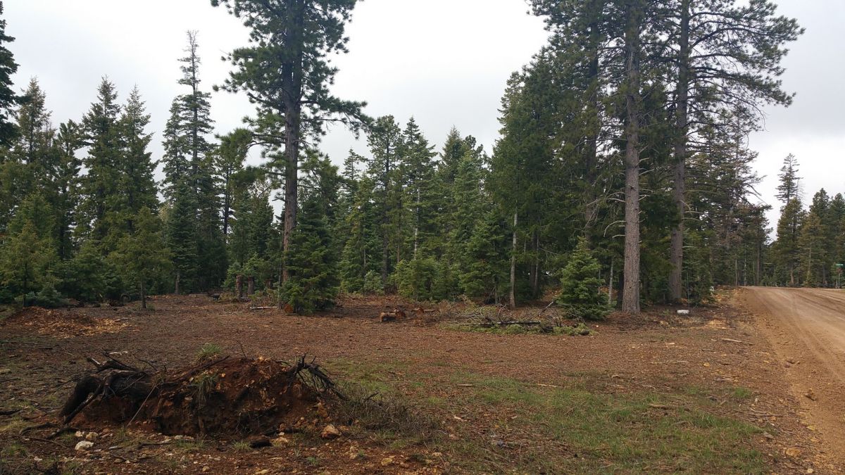 1320 E Duck Creek Ridge Road Unit D Lot 111, Duck Creek Village, UT 84762