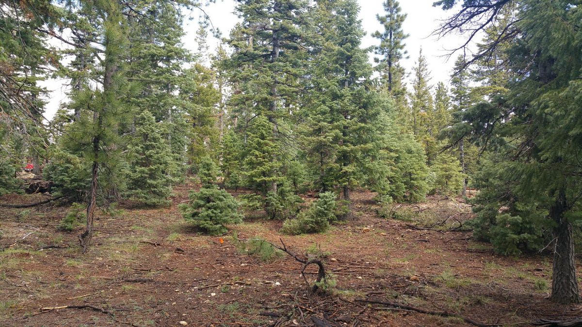 1320 E Duck Creek Ridge Road Unit D Lot 111, Duck Creek Village, UT 84762