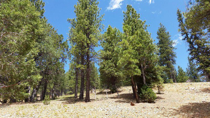 2485 E Swains View Trl, #2, SCP 2-338, Duck Creek, UT 84762