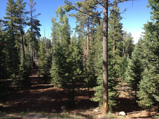 4360 N Cedar Mountain Dr, Duck Creek Village, UT 84762