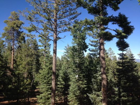 4360 N Cedar Mountain Dr, Duck Creek Village, UT 84762
