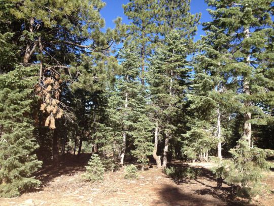 4360 N Cedar Mountain Dr, Duck Creek Village, UT 84762