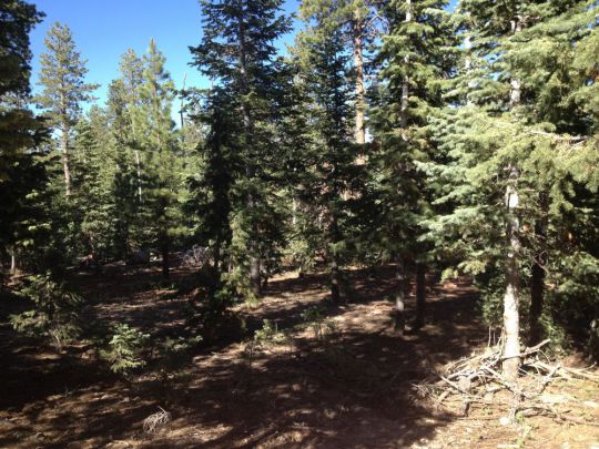 4360 N Cedar Mountain Dr, Duck Creek Village, UT 84762
