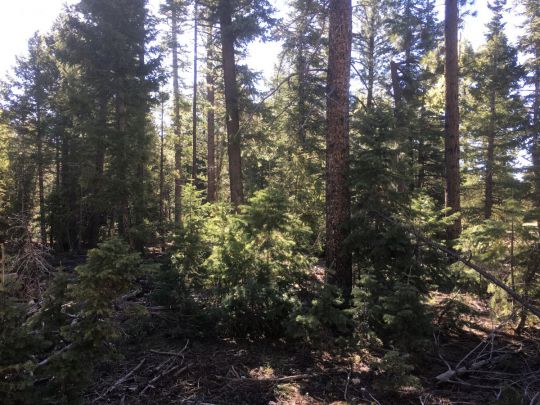 1430 E Henry Rd, Duck Creek Village, UT 84762
