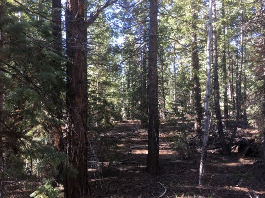 1430 E Henry Rd, Duck Creek Village, UT 84762