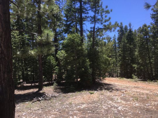 1460 E Henry Rd, Duck Creek Village, UT 84762