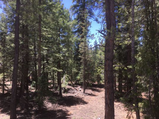 1460 E Henry Rd, Duck Creek Village, UT 84762