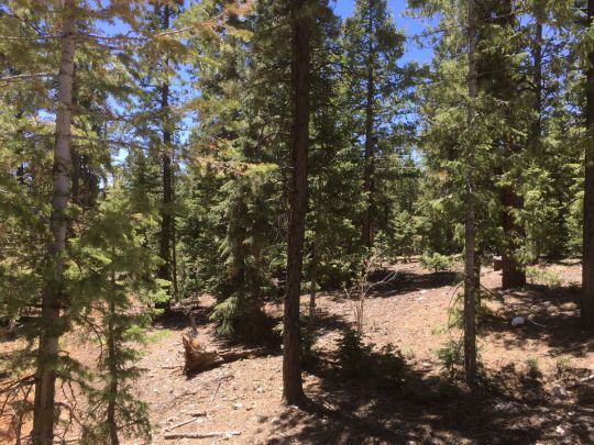 1460 E Henry Rd, Duck Creek Village, UT 84762