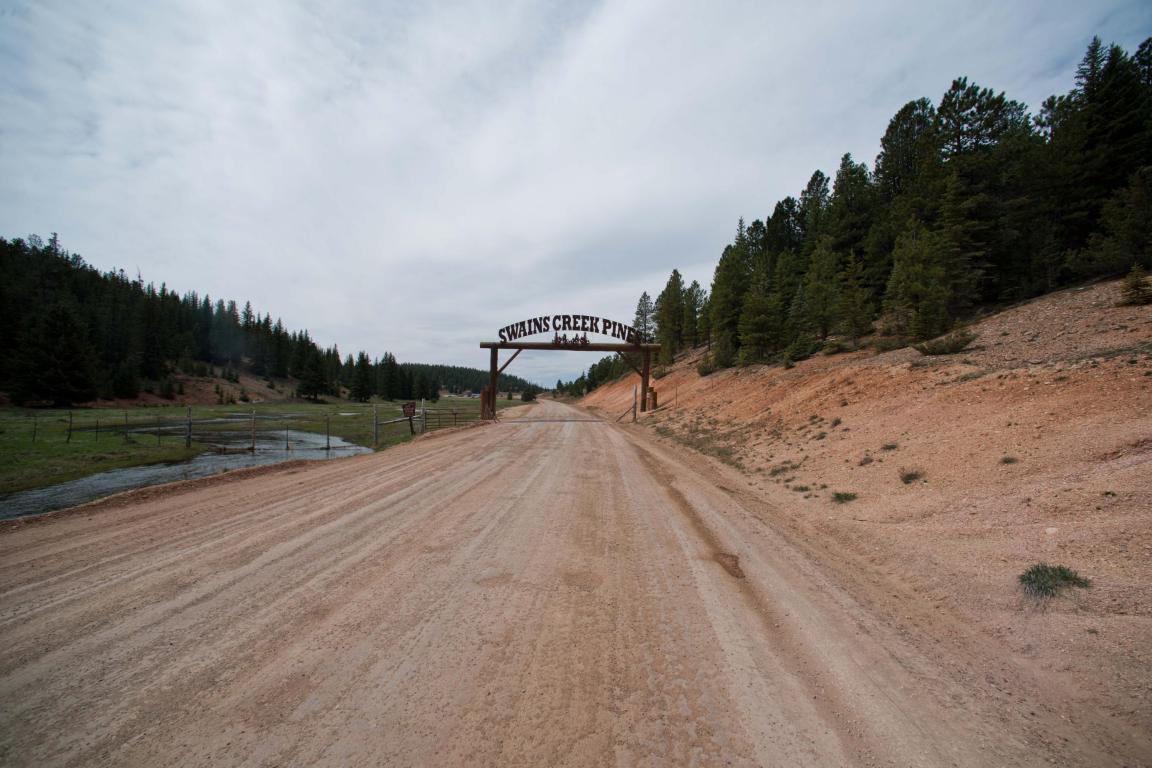 1370 Heavenly Dr, Duck Creek, UT 84762
