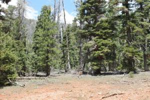 5520 W North Fork Rd, Duck Creek Village, UT 84762