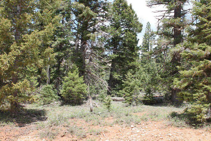 5520 W North Fork Rd, Duck Creek Village, UT 84762