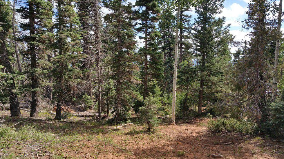 5760 W Berry Loop, NLE 3-C-22, Duck Creek, UT 84762