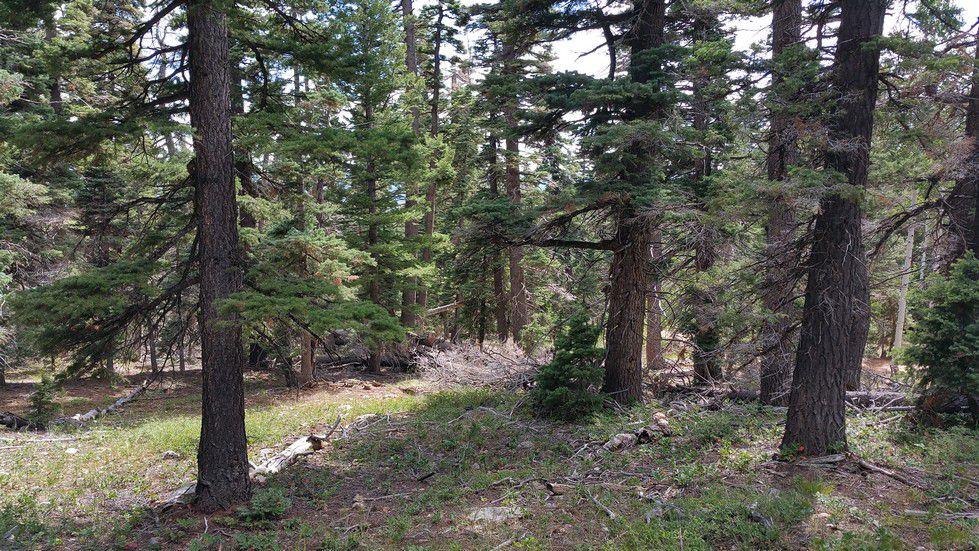 5760 W Berry Loop, NLE 3-C-22, Duck Creek, UT 84762