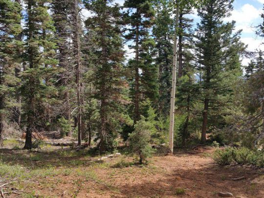 5760 W Berry Loop, NLE 3-C-22, Duck Creek Village, UT 84762