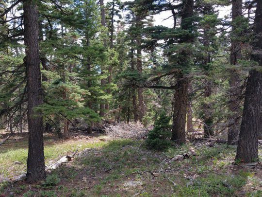 5760 W Berry Loop, NLE 3-C-22, Duck Creek Village, UT 84762