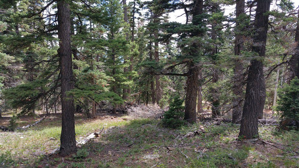 5760 W Berry Loop, NLE 3-C-22, Duck Creek Village, UT 84762