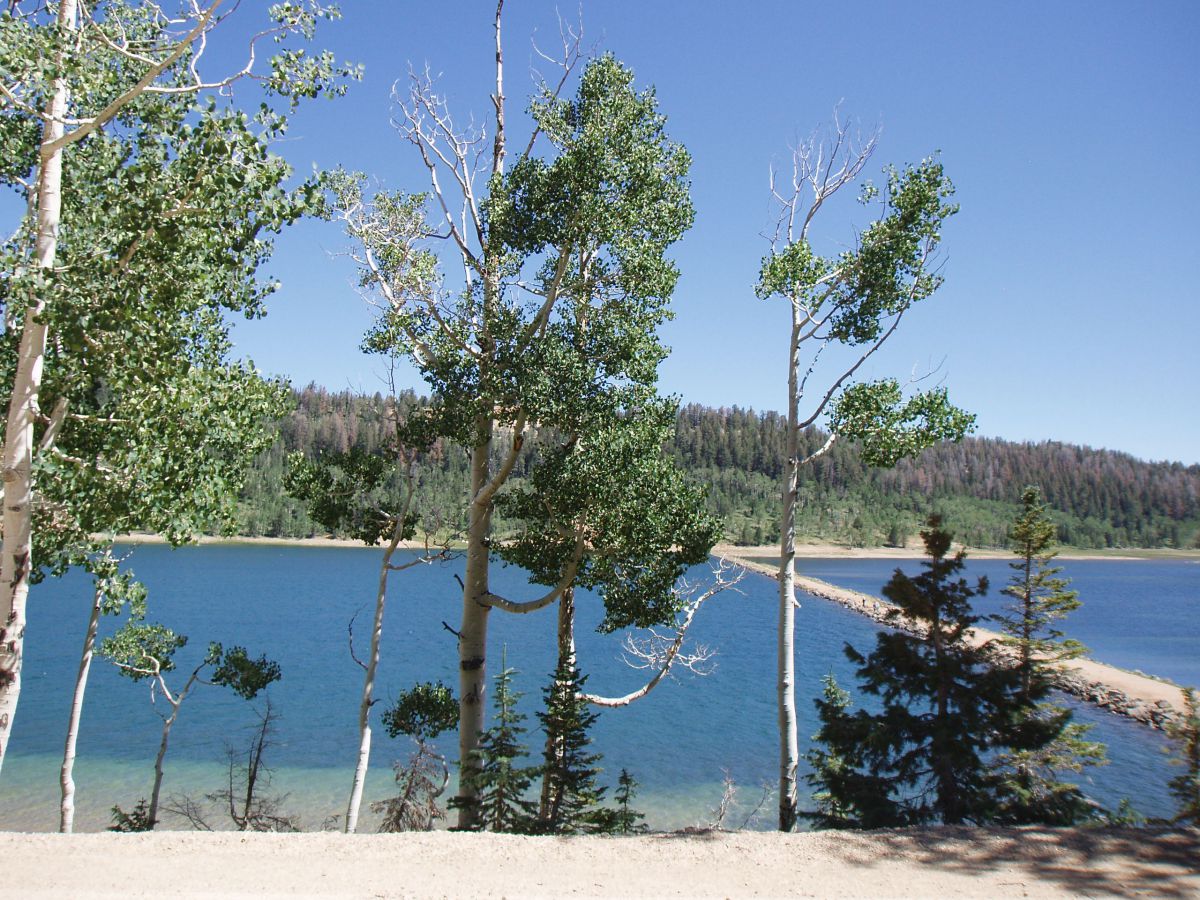 5760 W Berry Loop, NLE 3-C-22, Duck Creek Village, UT 84762