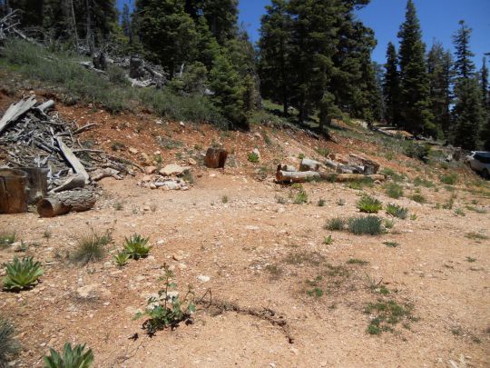 6420 Grizzly Ln W, Duck Creek Village, UT 84762