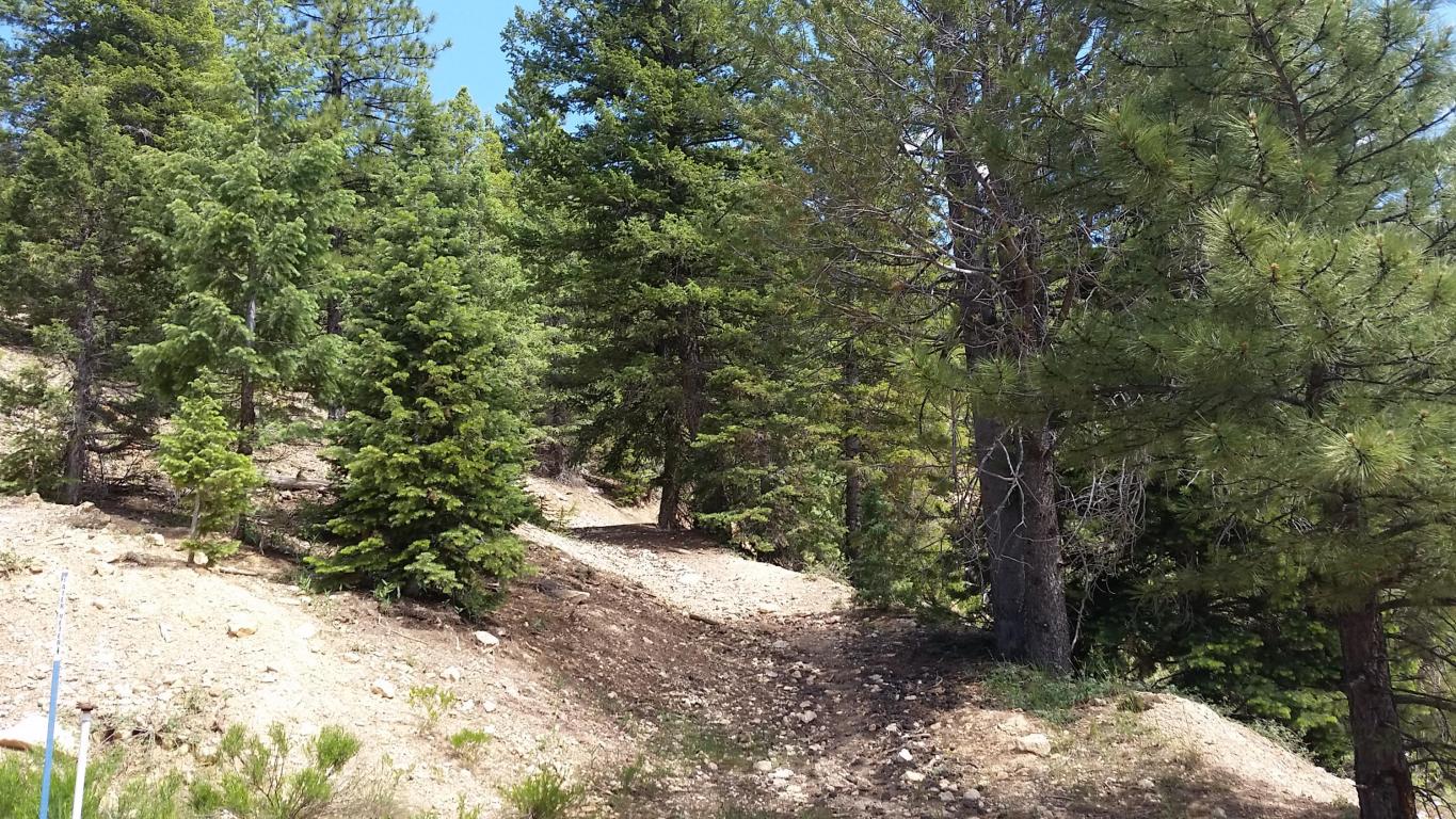 580 & 590 N Skyline View DR, Duck Creek, UT 84762