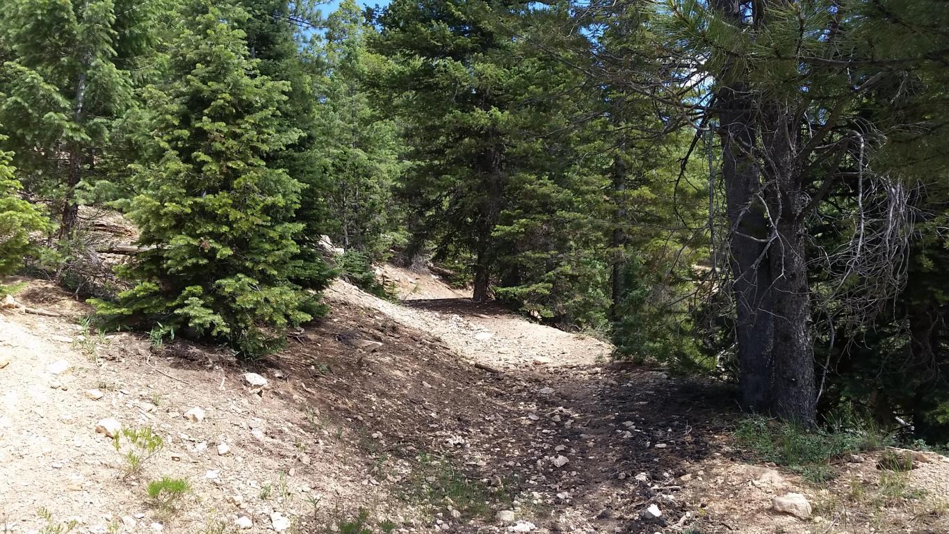 580 & 590 N Skyline View DR, Duck Creek, UT 84762