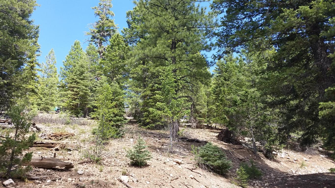580 & 590 N Skyline View DR, Duck Creek, UT 84762