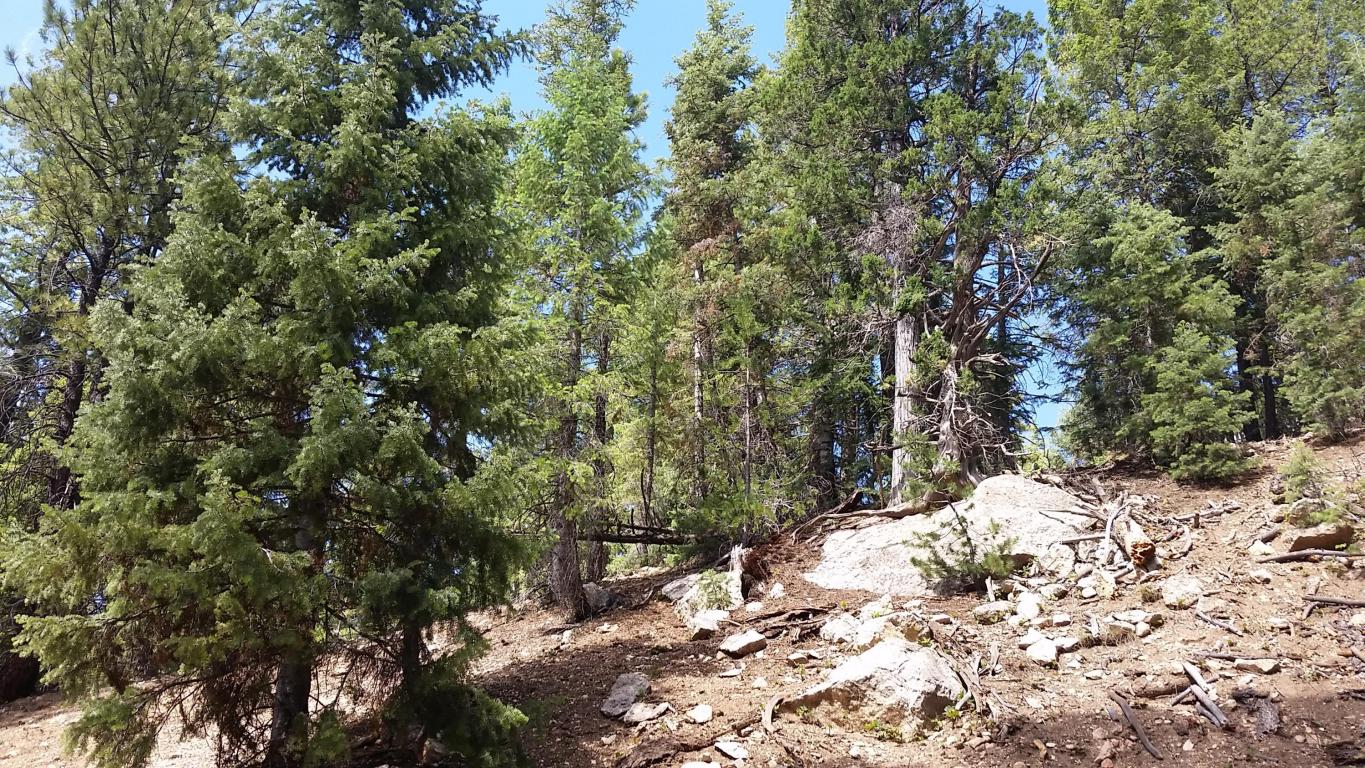 580 & 590 N Skyline View DR, Duck Creek, UT 84762