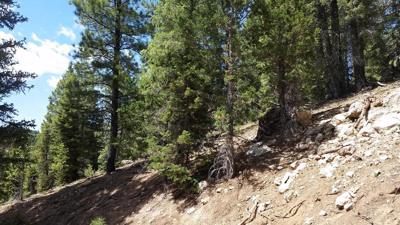 580 & 590 N Skyline View DR, Duck Creek, UT 84762