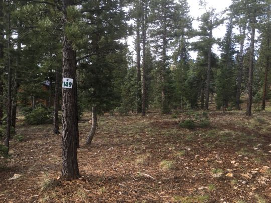 1340 E Browning Rd, Duck Creek Village, UT 84762