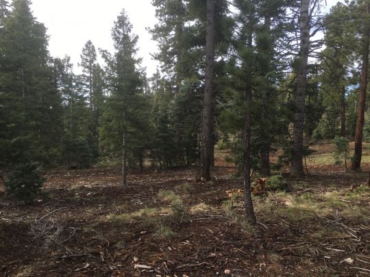 1340 E Browning Rd, Duck Creek Village, UT 84762
