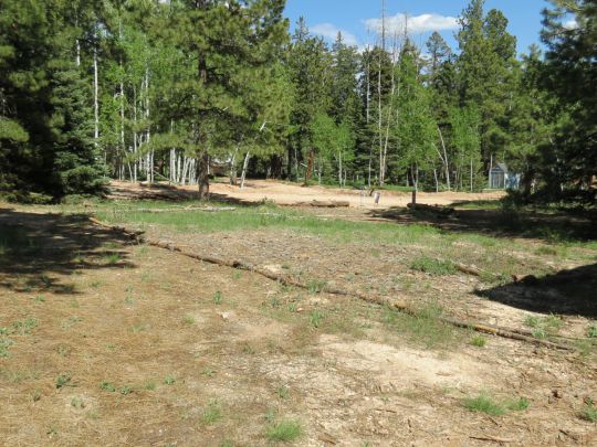 470 S Inspiration Dr, Duck Creek Village, UT 84762