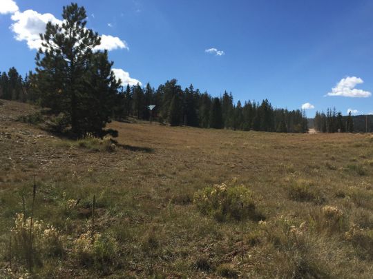 2450 W Manitoban, Elk Ridge, UT 84762