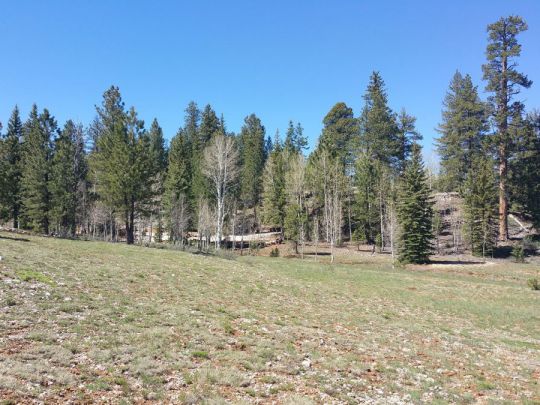 2255 E Knoll Rd, Duck Creek Village, UT 84762