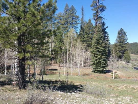 2255 E Knoll Rd, Duck Creek Village, UT 84762