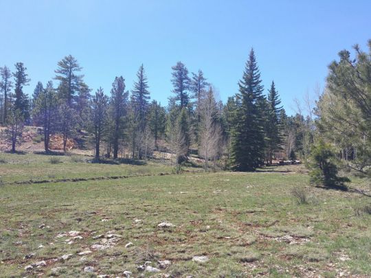 2255 E Knoll Rd, Duck Creek Village, UT 84762