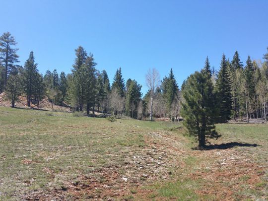 2255 E Knoll Rd, Duck Creek Village, UT 84762
