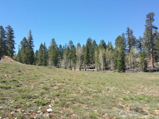 2255 E Knoll Rd, Duck Creek Village, UT 84762
