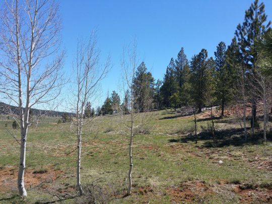 2255 E Knoll Rd, Duck Creek Village, UT 84762
