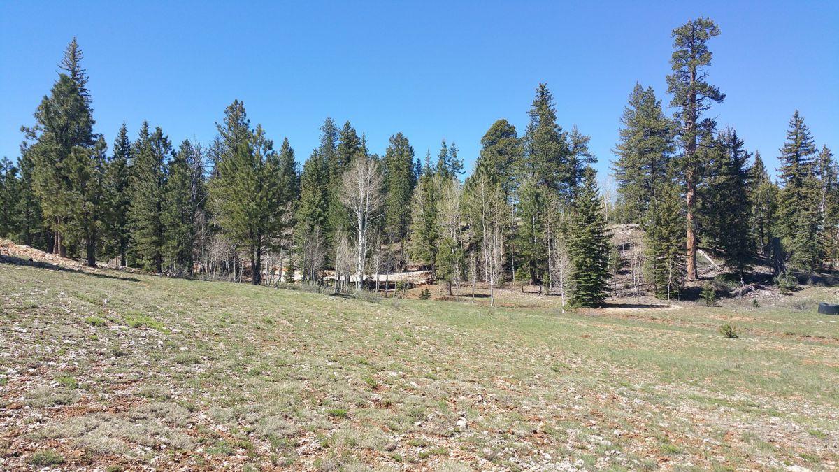 2255 E Knoll Road, SP #47, Duck Creek, UT 84762